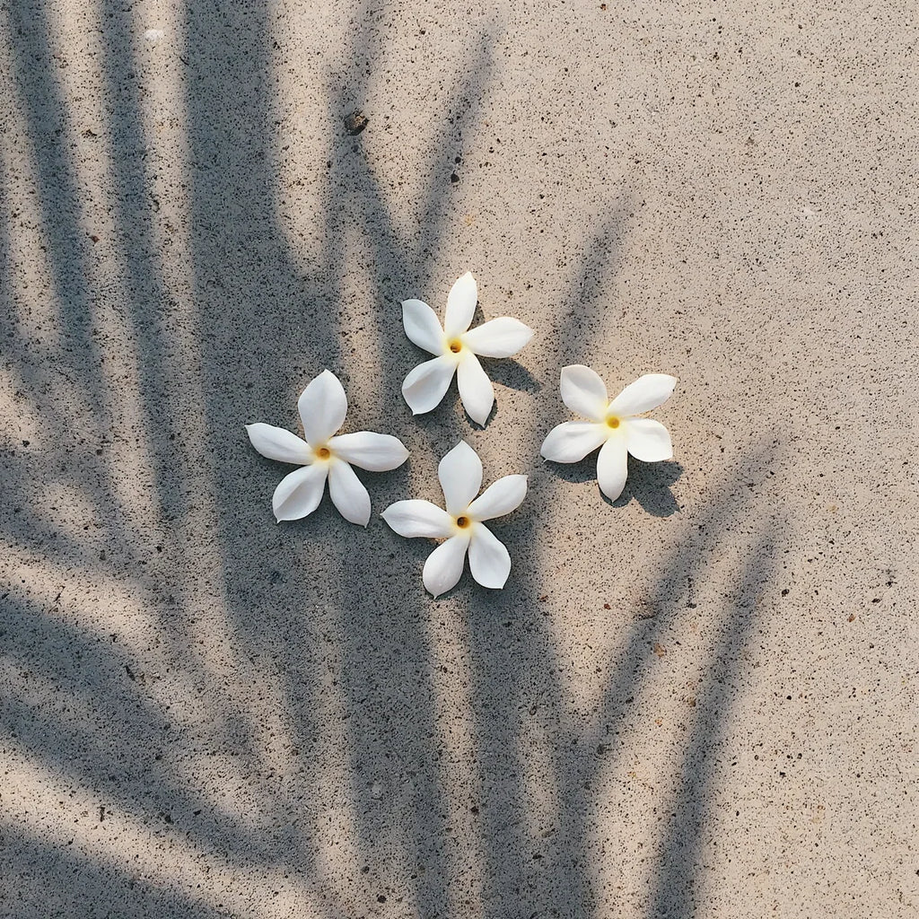 Pikake Jasmine Roller Perfume - UA Body