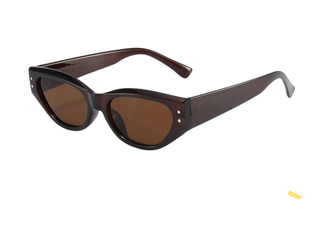 ARVO Sunglasses