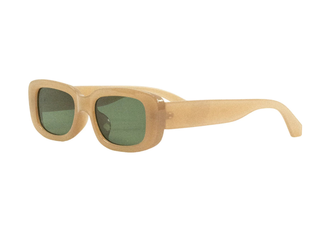 ARVO Sunglasses