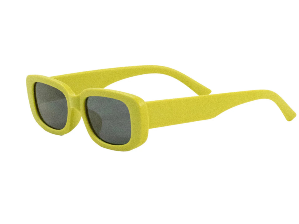 ARVO Sunglasses